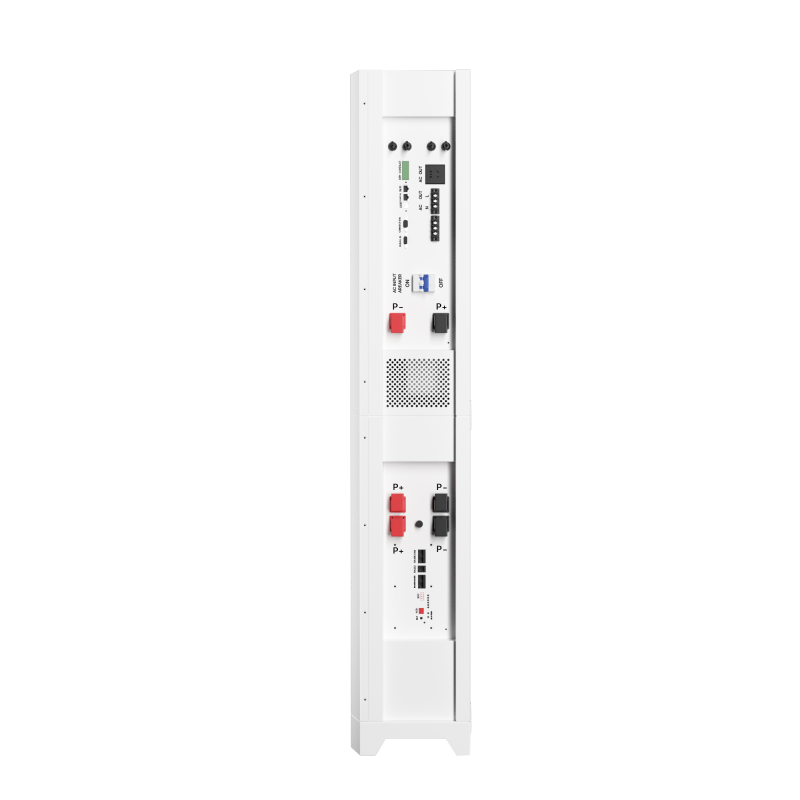 Tudo em uma bateria de 11 kWh e inversor Srne Montado na parede