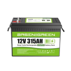 315 (Pre-Sale)EU stock 12V 315ah LiFePO4 Battery Built-in 200A BMS with Bluetooth
